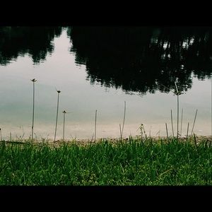 Meet your Posher, Kylee